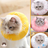 Anti-Lick Recovery Collar for Cats and Dogs